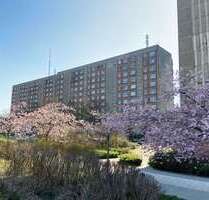 Wohnung zum Mieten in Schwerin 425,00 € 68.01 m²