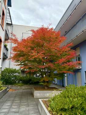 Foto - Wohnung zum Mieten in Frankfurt 1.399,00 € 91 m²