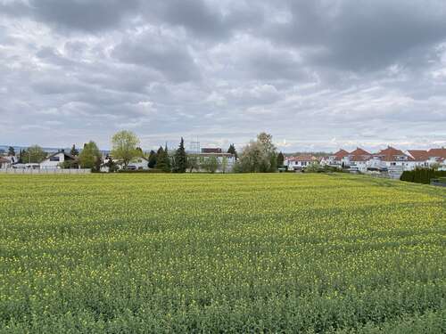 Foto - Wohnung zum Mieten in Illerkirchberg Unterkirchberg 760,00 € 72 m²