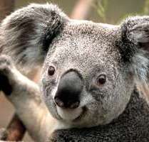 Wohnung zum Mieten in Dortmund 480,00 € 67.5 m²