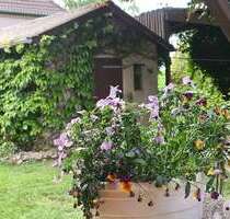 Haus zum Kaufen in Süderbrarup 248.000,00 € 175.96 m²