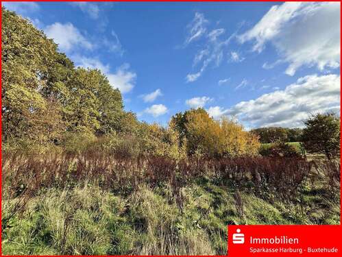 Foto - Grundstück zu verkaufen in Betzendorf 129.000,00 € 820 m²