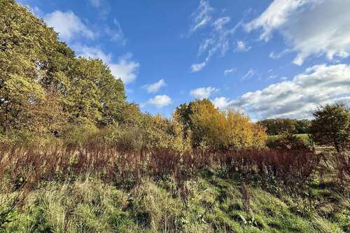 Foto - Grundstück zu verkaufen in Betzendorf 129.000,00 € 820 m²