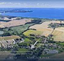Haus zum Kaufen in Dassow 395.000,00 € 220 m²