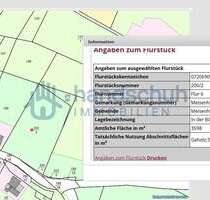 Grundstück zu verkaufen in Meisenheim 150.000,00 € 3873 m²