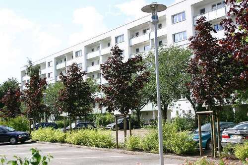 Foto - Wohnung zum Mieten in Greifswald 356,64 € 60.04 m²