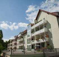 Wohnung zum Mieten in Wurzen 350,00 € 48.26 m²