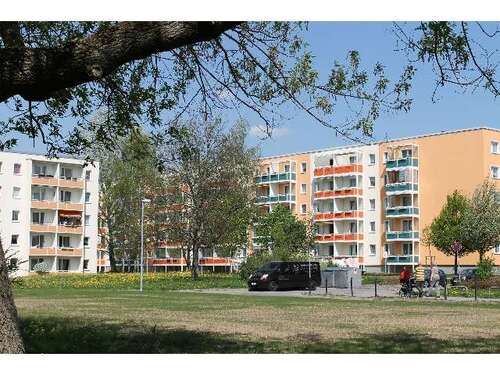 Foto - Wohnung zum Mieten in Chemnitz 191,22 € 31.87 m²