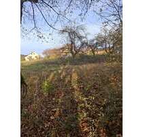 Grundstück zu verkaufen in Murrhardt 229.000,00 € 837 m²