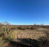 Haus zum Kaufen in Nauheim 1.450.000,00 € 540 m²