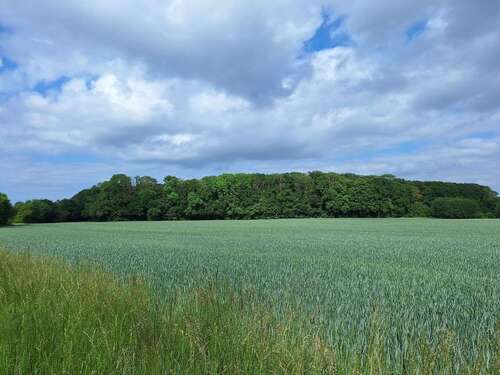 Foto - Grundstück in Greifswald 230.000,00 € 60442 m²