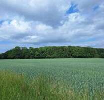 Grundstück in Greifswald 230.000,00 € 60442 m²