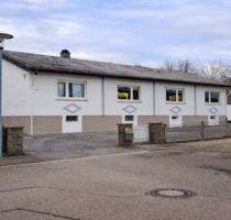 Haus zum Kaufen in Sinsheim 700.000,00 € 185 m²