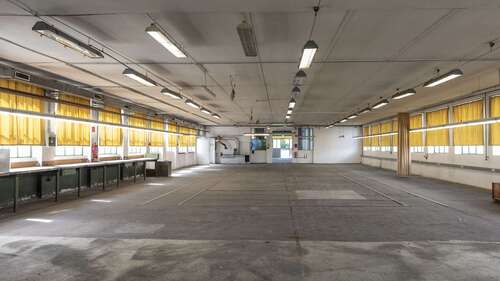 Foto - Halle in Bremen 3.695,40 € 717.77 m²