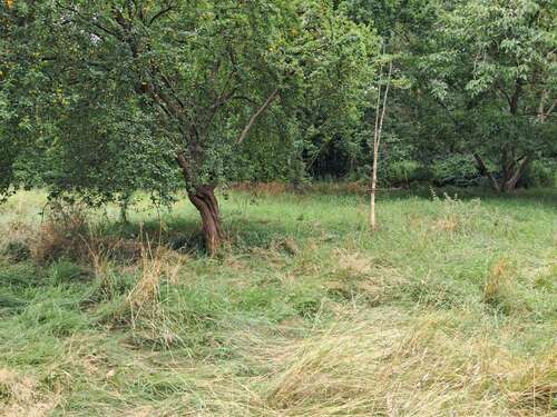Foto - Grundstück zu verkaufen in Hitzacker (Elbe) 120.000,00 € 3550 m²