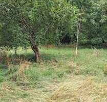Grundstück zu verkaufen in Hitzacker (Elbe) 120.000,00 € 3550 m²