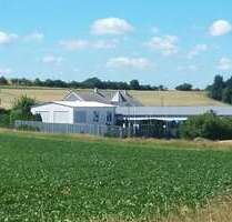 Halle in Bolanden 825.000,00 € 614 m²