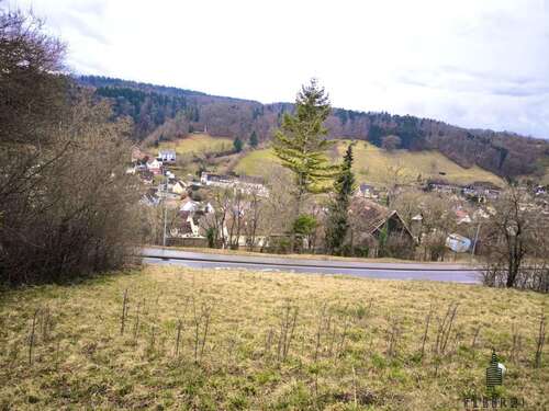 Foto - Grundstück zu verkaufen in Horb am Neckar Rexingen 111.000,00 € 1176 m²