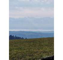 Wohnung zum Kaufen in Illmensee 289.000,00 € 85 m²