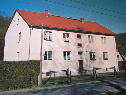 Foto - Haus zum Kaufen in Schmiedefeld 250.000,00 € 260 m²