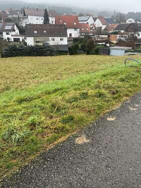 Foto - Grundstück zu verkaufen in Bosenbach 75.000,00 € 798 m²