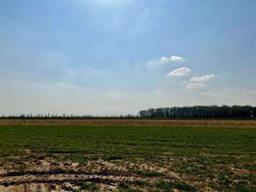 Foto - Grundstück zu verkaufen in Nörvenich 289.900,00 € 704 m²