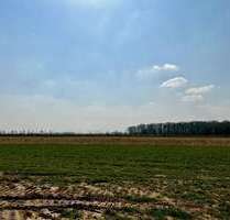 Grundstück zu verkaufen in Nörvenich 289.900,00 € 704 m²