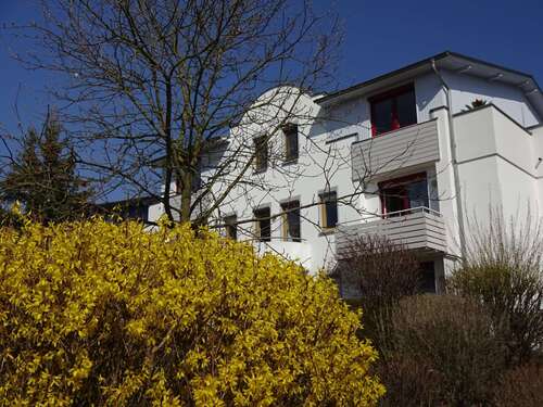 Foto - Wohnung zum Mieten in Zwickau 420,00 € 49.35 m²