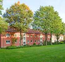Wohnung zum Mieten in Tecklenburg 379,00 € 43.16 m²