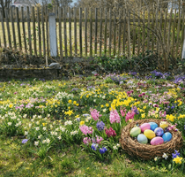 Grundstück zu verkaufen in München 1.443.000,00 € 671 m²