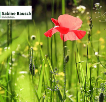 Grundstück zu verkaufen in Wunsiedel 6.000,00 € 2250 m²