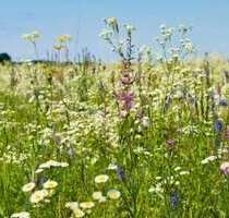 Grundstück zu verkaufen in westheim 700.000,00 € 560 m²