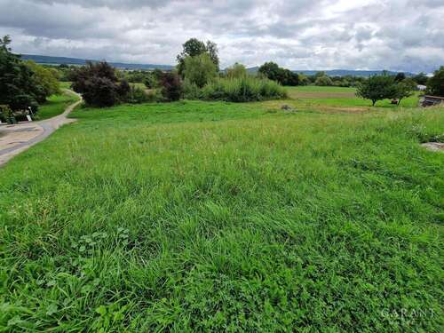 Foto - Grundstück zu verkaufen in Altendorf-Seußling 490.000,00 € 1245 m²