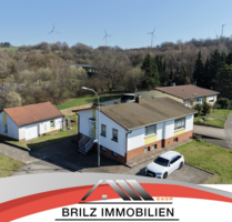 Haus zum Kaufen in Freisen 329.000,00 € 210 m²