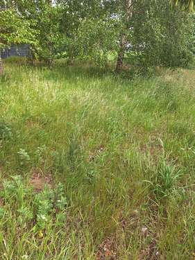 Foto - Grundstück zu verkaufen in Bremen 205.000,00 € 438 m²