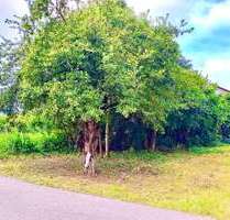 Grundstück zu verkaufen in Hallstadt 200.000,00 € 329 m²