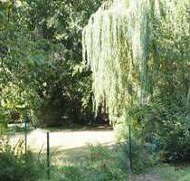 Wohnung zum Kaufen in Leverkusen 929.000,00 € 193 m²