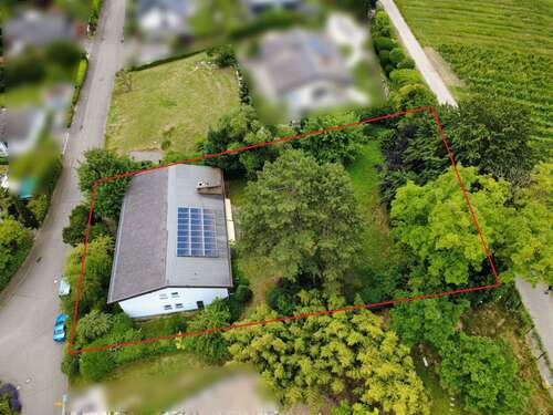 Foto - Haus zum Kaufen in Auggen 977.000,00 € 373 m²