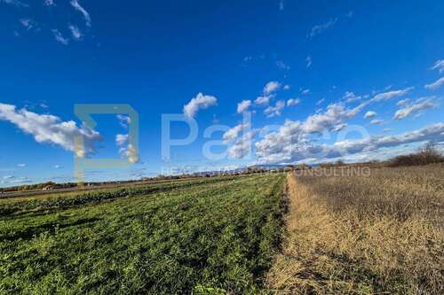 Foto - Grundstück zu verkaufen in Brezovica 65.000,00 € 2744 m²