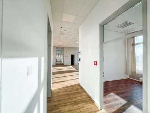 Foto - Büro in Dresden Striesen 2.131,50 € 203 m²