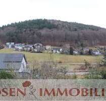 Wohnung zum Mieten in Grasellenbach 450,00 € 50 m²