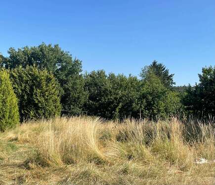 Foto - Grundstück zu verkaufen in Herresbach 36.450,00 € 607 m²