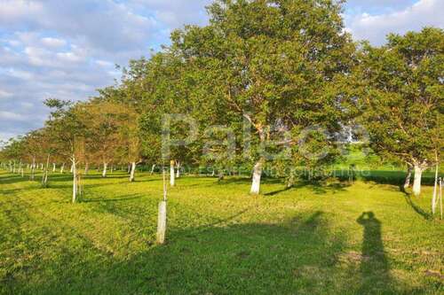 Foto - Grundstück zu verkaufen in Petrijevci 25.000,00 € 10500 m²