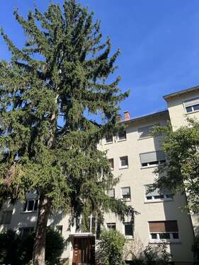 Foto - Wohnung zum Kaufen in Wiesbaden 249.000,00 € 65 m²