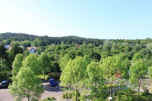 Foto - Wohnung zum Mieten in Halle 268,00 € 36.1 m²