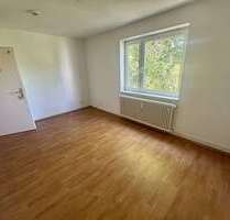 Wohnung zum Mieten in Salzgitter 300,00 € 16 m²