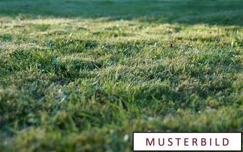 Foto - Grundstück zu verkaufen in Neustadt an der Orla 97.000,00 € 2342 m²