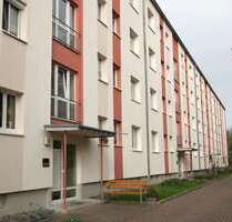 Wohnung zum Mieten in Pirna 291,40 € 47 m²
