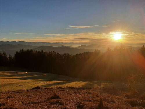 Foto - Spezialgewerbe in Waldenburg , Sachs 999.000,00 €