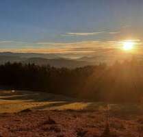 Spezialgewerbe in Waldenburg , Sachs 999.000,00 €